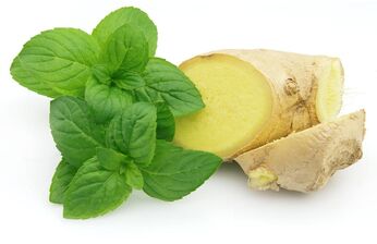 Zázvor a máta jako součást produktu